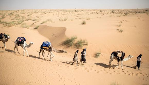 Un arqueólogo y explorador sahariano, se ve con su caravana de camellos en el desierto entre Tichitt y Aratane en el sureste de Mauritania el 26 de enero de 2020. (Foto: AFP / JOHN WESSELS).