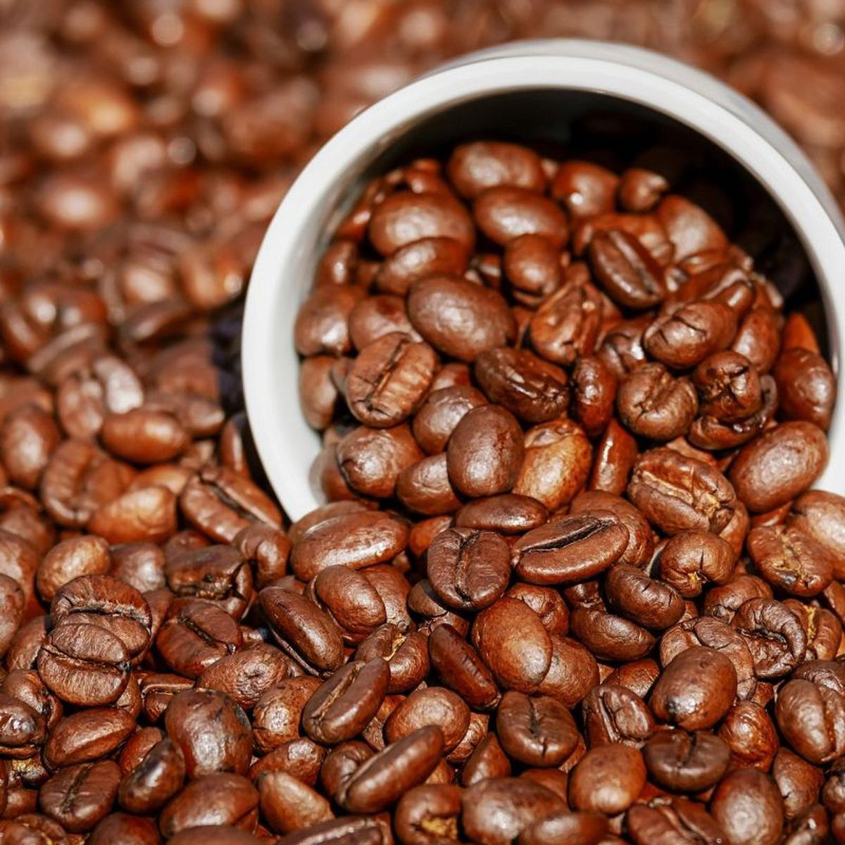 El café molido debe conservarse en la nevera?
