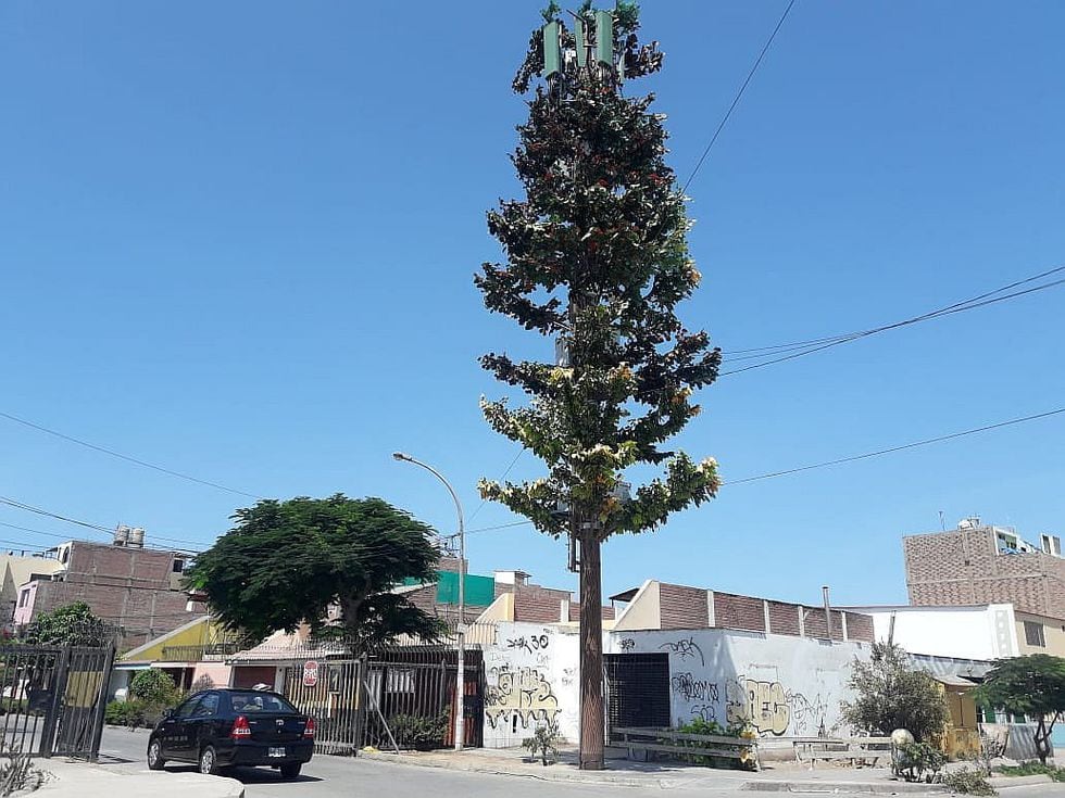Hay dos antenas de telefonía disfrazadas de árboles en el Cercado de Lima