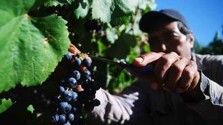 Recorre la otra ruta del vino en estas bodegas en Argentina