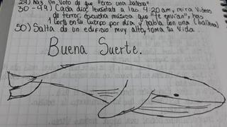 Capturan a acusado de promover el juego de la "ballena azul" en Brasil