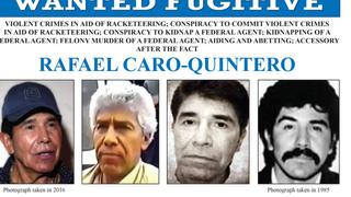 Gobierno de México dice que perro ayudó a la captura del capo Rafael Caro Quintero