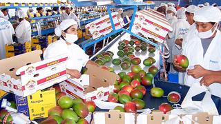 Envíos de frutas y hortalizas alcanzarían US$4.400 mlls al 2020