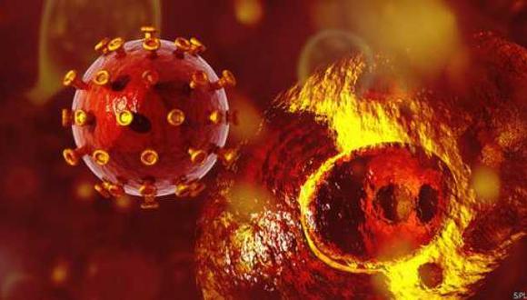 Descubren que el VIH usa células inmunitarias para propagarse