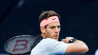 Del Potro fue derrotado por Tomas Berdych en Abierto de Australia