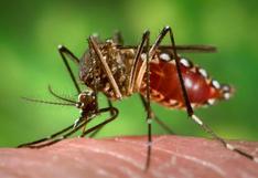 Descubren una proteína responsable del desarrollo del dengue hemorrágico