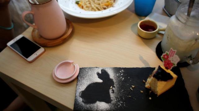 El "café de conejos" que causa ternura en Hong Kong [FOTOS] - 1