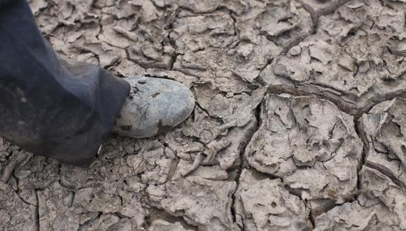 Guillén: "Arequipa no tiene dinero para atender sequías"