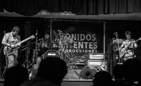 Sonidos Latentes: Acordes que sobreviven al sistema