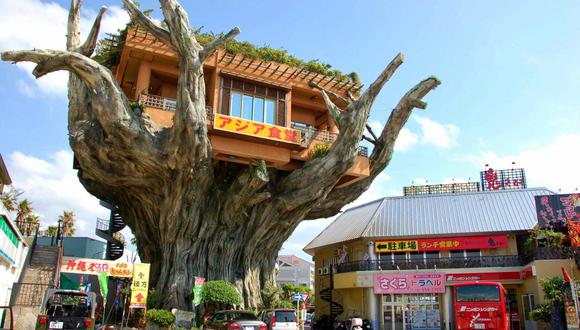 Restaurante-árbol en Japón