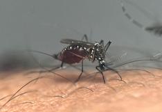 La temperatura del Índico podría ayudar a predecir las tendencias mundiales del dengue