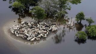 Bolivia: Ya son casi 47.000 los damnificados por las lluvias