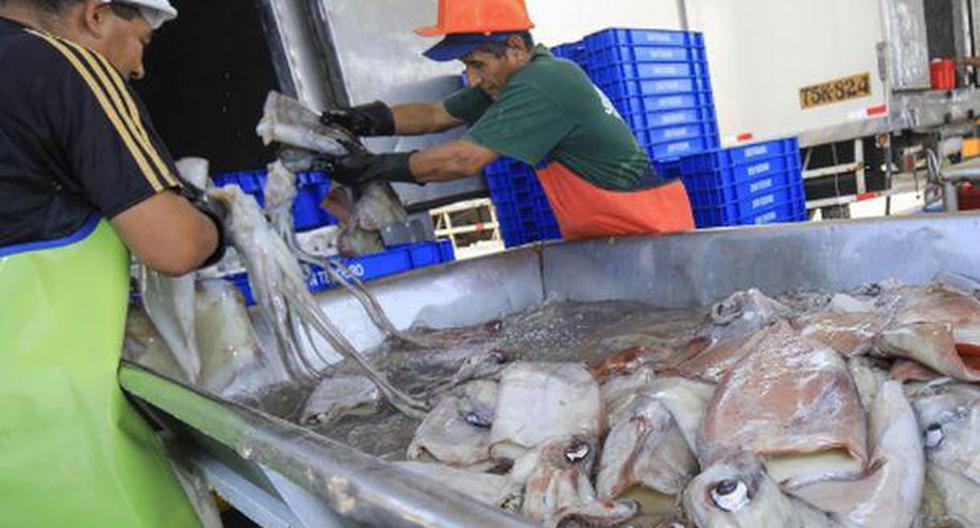 Perú ampliará sus exportaciones agrarias y pesqueras a Rusia (Andina)