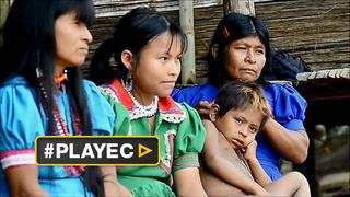 Hambre y miedo: la violencia en la selva de Colombia [VIDEO]