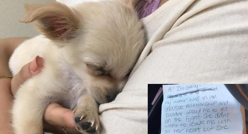 La mujer desconocida dejó a su cachorro chihuahua Chewy en el baño del Aeropuerto Internacional McCarran, en Las Vegas. (Foto: Facebook)