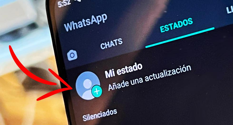 WhatsApp |  Come fai a sapere quante volte un contatto ha visualizzato i tuoi stati |  WhatsApp Plus |  Smartphone |  Telefoni cellulari |  Applicazioni |  Applicazioni |  Applicazioni |  tecnologia |  trucco |  vagare |  Storie |  Androide |  iOS |  nda |  nnni |  dati