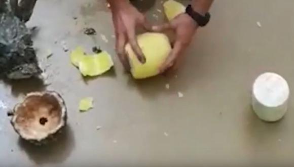 YouTube: Policía encuentra 67 kilos de cocaína dentro de piñas en España