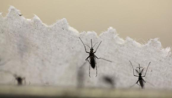 Zika: hombre enfermó por contacto con lágrimas de su padre
