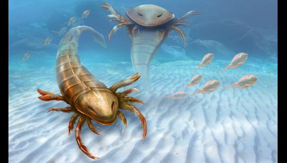 Enorme escorpión marino dominaba los mares en la prehistoria