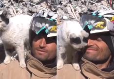 Gatito rescatado entre los escombros en Turquía se niega a abandonar al hombre que lo salvó