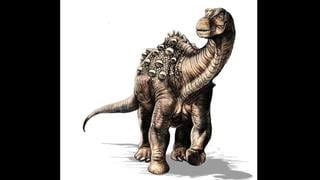Así era el Yamanasaurus lojaensis, el primer dinosaurio encontrado en Ecuador