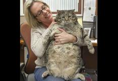 Gato mais gordo do mundo