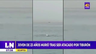 Muere joven tras ser atacado por tiburón en el mar Rojo y el video circula por internet