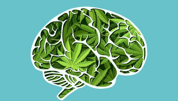 El cannabis tiene efectos en los procesos cognitivos.