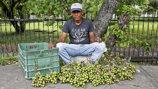 Venezuela: frutos tropicales para combatir el hambre