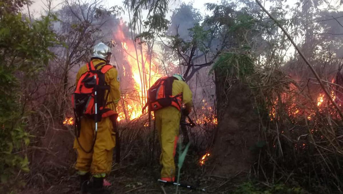 "Evo Morales, el primer presidente indígena de Bolivia, prometió defender a la Pachamama (Madre Tierra). En cambio, su gobierno ha promovido los intereses de los agronegocios". (Foto: Facebook Bomberos Voluntarios UUBR)