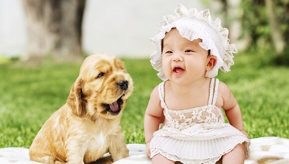 Tierno perro cuida al bebé de su dueña como si fuera su propio hermano y momentos cautivan la red. (Foto: Pixabay / referencial)