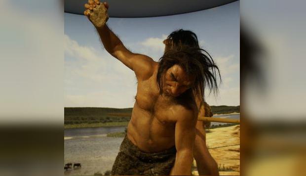 El Homo sapiens se ha considerado como la única especie que manifiesta una clara preferencia por el uso de la mano derecha con respecto a la izquierda. (Foto: Pezibear en pixabay.com / Bajo licencia Creative Commons)