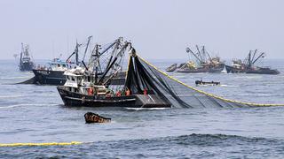 Desembarques del sector pesca crecieron más de 75% en junio impulsado por la alta captura de anchoveta 