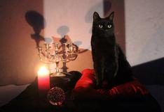 'Sabrina' en Netflix: primera foto del nuevo Salem, el gato negro de la bruja