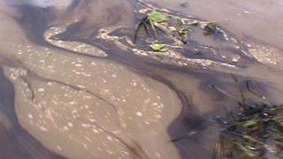 Petróleo derramado en Ecuador llegó al río Napo en territorio peruano