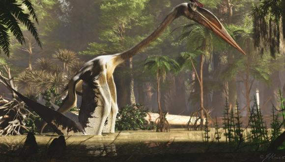 Interpretación de un artista de Quetzalcoatlus northropi, un tipo de pterosaurio y el animal volador más grande que jamás haya existido en la Tierra. (JAMES KUETHER)