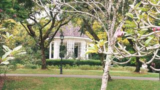 Belleza verde: estos son los mejores jardines botánicos