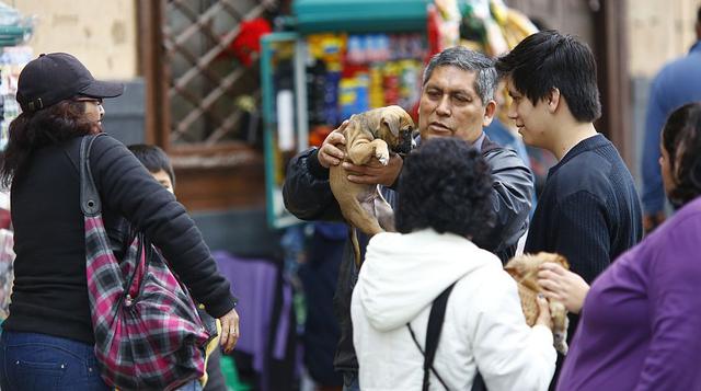 Vendedores de animales y ambulantes siguen en el Cercado - 1