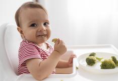 Alimentación del bebé: ¿por qué los macro y micro nutrientes son tan necesarios para su desarrollo?