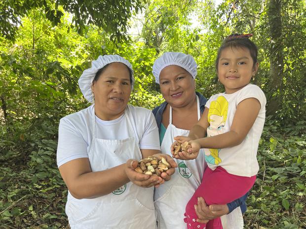 Women lead the work of collecting and producing the Madre de Dios nut.