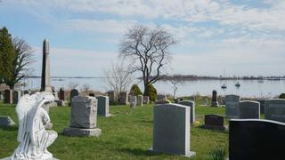 Hart Island, la inmensa fosa común donde enterrarían a los muertos por coronavirus en Nueva York