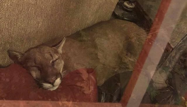 Mujer registró toda su experiencia en fotos y videos. (Foto: Facebook)