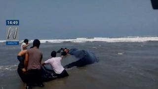 Piden ayuda para rescatar a ballena varada en playa de Lambayeque | VIDEO