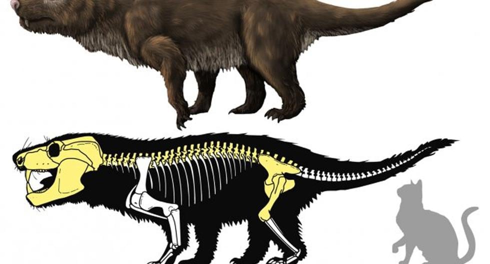 Científicos brasileños han hallado en su país fósiles de reptiles mamiferoides procedentes del Triásico y previamente identificados como Chiniquodon. (Foto: Getty Images)