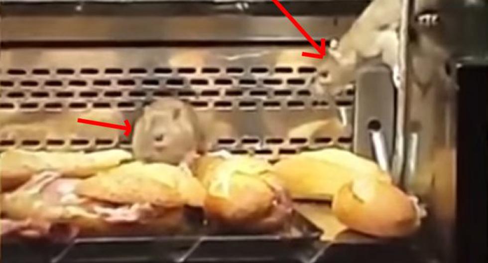 Ratas tienen festín en famosa panadería. (Foto: Captura YouTube)