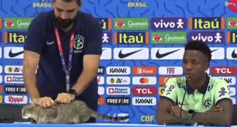 Gato goes viral for interrupting Vinícius Júnior’s press conference |  VIDEO