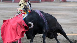 ¿Los toros no sufren?, por Martha Meier Miró Quesada