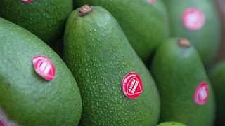 La Libertad: envíos de palta suman S/.1.5 millones hasta mayo