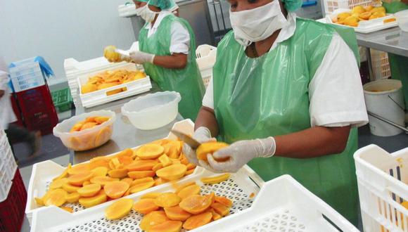 Los mangos fueron uno de los productos estrella en el mercado exterior. (Foto: GEC)