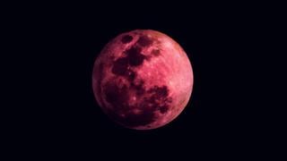 ‘Superluna de fresa’: ¿en qué consiste este fenómeno y cuándo podrá ser visto? 